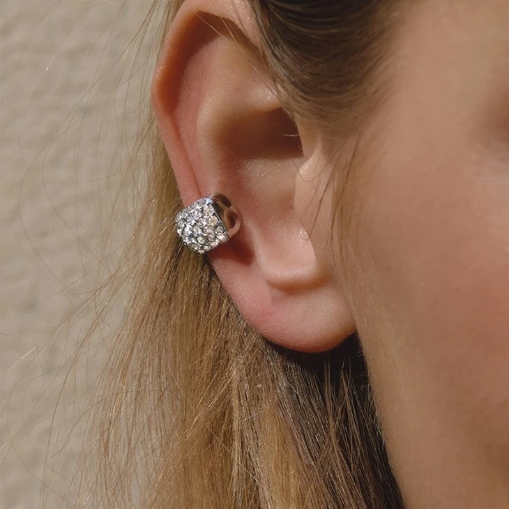 Stainless Steel Double Link Earrings best